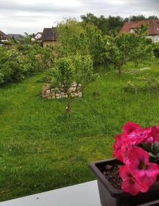 Ubytování v soukromí - Vila Eliška