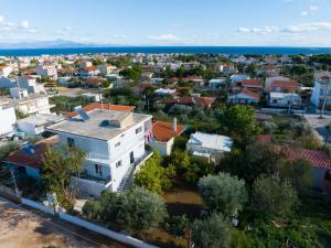 Anastasias lemon garden