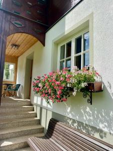 Appartements Wieseneck - Ramsau am Dachstein - direkt an der Loipe!