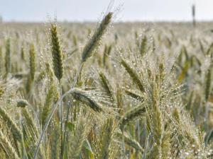 Frankenwaldhaus Comfortable holiday residence