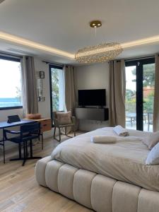 Appartements Luxury Villa with Pool & Sea View-10 Minutes from Monaco : photos des chambres