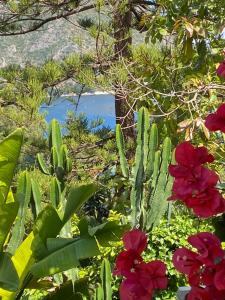 Appartements Luxury Villa with Pool & Sea View-10 Minutes from Monaco : photos des chambres