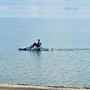 Aly-Kats Flip Flop Flat