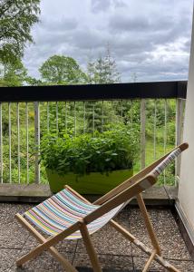 Appartements Studio entre foret et vignoble ! : photos des chambres