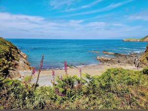 Apartamentos casa Carola