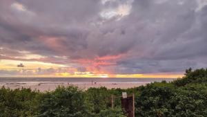 Kamala Surf & Backpacker Hostel