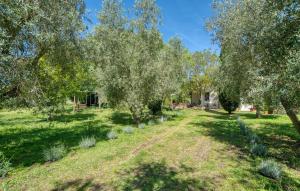 Awesome Home In Ischia Di Castro