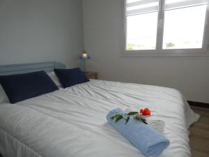 Appartements Appartement familial a 50m de la plage - 2 chambres, balcon, animaux acceptes, parking privatif - FR-1-540-291 : photos des chambres