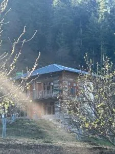 Enter The Wild - Tosh