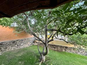 Casa la Loba