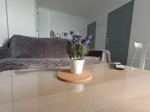 Studio paisible bien situé au rez de chaussée. - Douchy-les-Mines