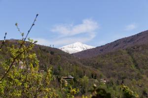 Maisons de vacances Chalet en Castel : photos des chambres