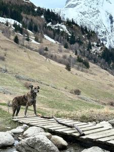 Hotels Hotel Aalborg : photos des chambres