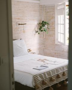 B&B / Chambres d'hotes Villa Sayulita Surfhouse : Chambre Lit Queen-Size 