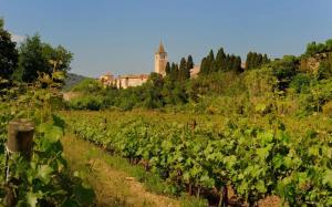 Appartements Pretty house center of Corbieres : photos des chambres