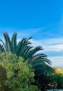 Villas Villa Lou Carou - Vue mer et Baie de Nice : photos des chambres