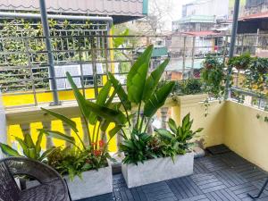 Sunny Garden Balcony in Old Quarter, Free Laundry, Free Water