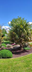 Le Ptit Normand entre Ville & Plages