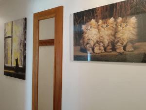 Appartements Appartement LE DAOUN Dunes, Pins Ocean et Golf : photos des chambres