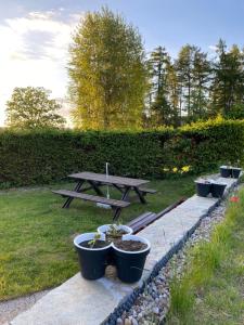 Apartmán Pod Žalým