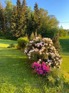 Apartmán Pod Žalým