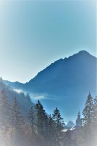 Appartements Charmant studio, plein sud, sport et relax : photos des chambres