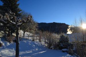 Appartements Charmant studio, plein sud, sport et relax : photos des chambres