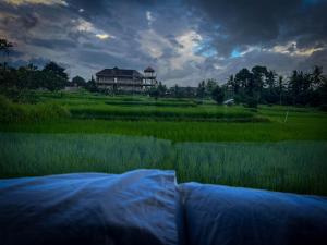 Villa Karma