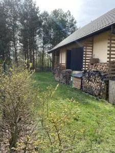 Domek nad jeziorem w Kamionkach Małych pod Toruniem - Ґолюб-Добжинь