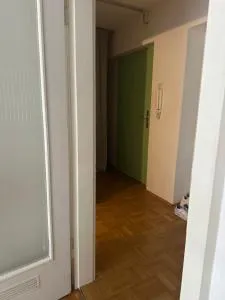 Kleines feines zentrales Apartment - Törwang