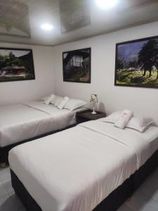 Hospedaje Entre Líneas