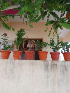 Sri arunachala shiva home stay 2