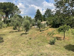 Villas Bastide Provencale dans les vignes : photos des chambres