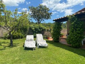 Monolocale La Mimosa