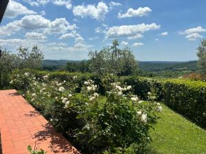 Monolocale La Mimosa