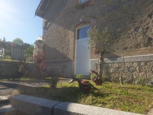 Appartements L'ecole buissonniere : photos des chambres