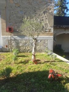 Appartements L'ecole buissonniere : photos des chambres