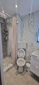 Studio Complex Alfa&Beta Saturn la parter cu terasa