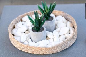 Athenian Island Project