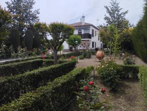 VIVIENDA RURAL HUERTA DEl MEDIO