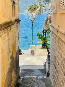 Hearth of Rose - Росе