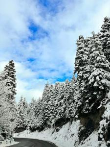 Bakuriani Gate of Miracles 67