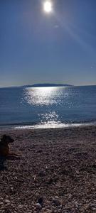 Studio apartman Tadić