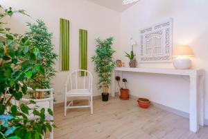 Domo Green House img39