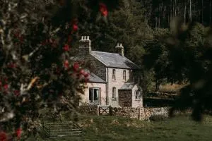 Gibshiel Farm Bed and Breakfast - Kielder