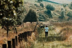 Gibshiel Farm Bed and Breakfast