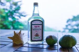 Villa Du Petit Paradis - Bellefontaine