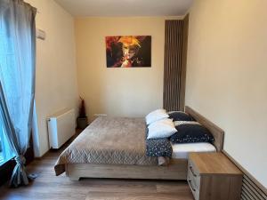 Apartament Serce Miasta