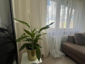 Sunny View Apartament