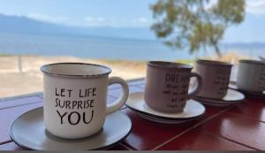 Villa Laguna -house by the beach